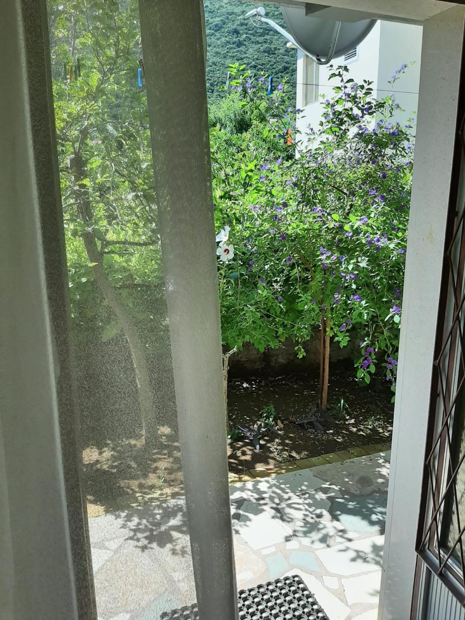 Apartments And Rooms With Parking Space Trpanj, Peljesac - 250 部屋 写真